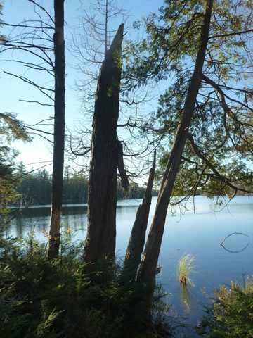 Photo from Thanksgiving Backpacking in Algonquin