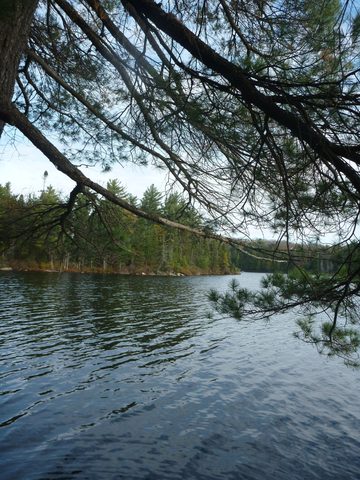 Photo from Thanksgiving Backpacking in Algonquin