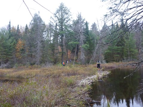 Photo from Thanksgiving Backpacking in Algonquin