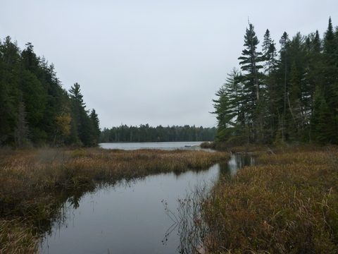 Photo from Thanksgiving Backpacking in Algonquin