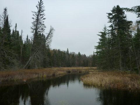 Photo from Thanksgiving Backpacking in Algonquin