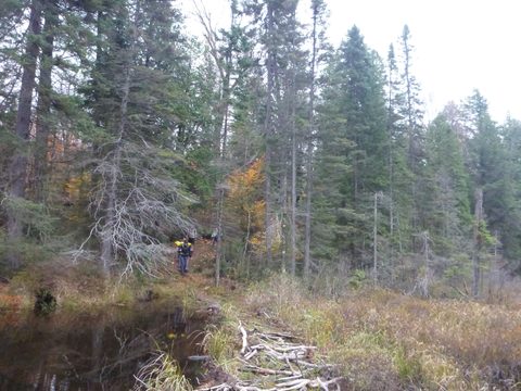 Photo from Thanksgiving Backpacking in Algonquin