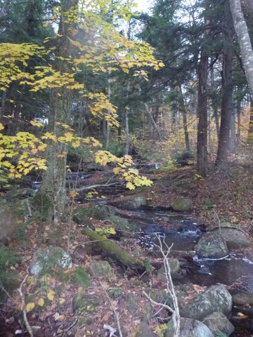 Photo from Thanksgiving Backpacking in Algonquin
