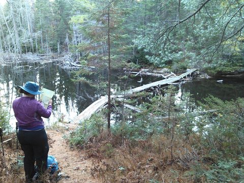 Photo from Thanksgiving Backpacking in Algonquin