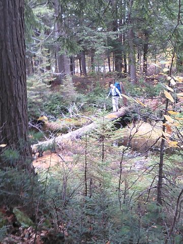 Photo from Thanksgiving Backpacking in Algonquin