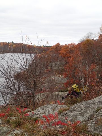 Photo from Queen Elizabeth II Wildlands Provincial Park Cork & Canoe