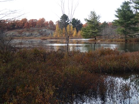 Photo from Queen Elizabeth II Wildlands Provincial Park Cork & Canoe