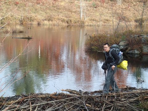 Photo from Queen Elizabeth II Wildlands Provincial Park Cork & Canoe