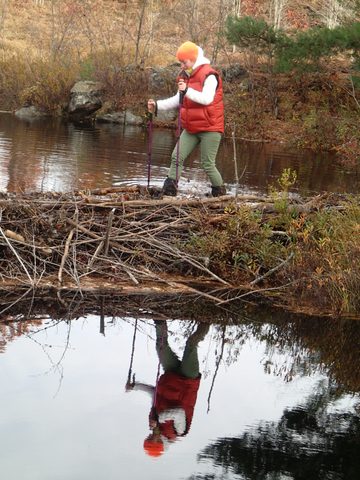 Photo from Queen Elizabeth II Wildlands Provincial Park Cork & Canoe