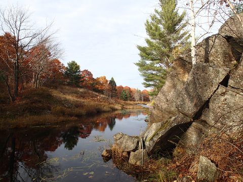 Photo from Queen Elizabeth II Wildlands Provincial Park Cork & Canoe
