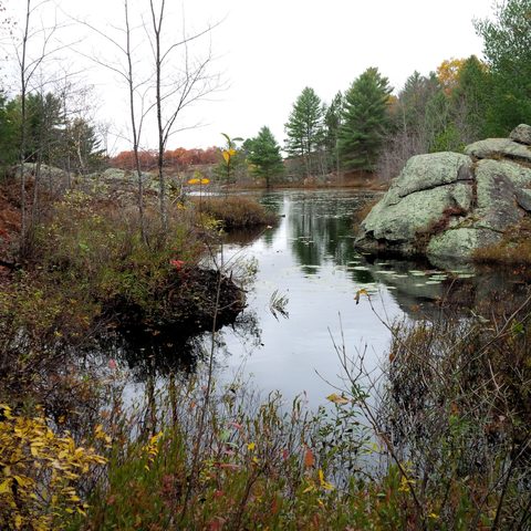Photo from Queen Elizabeth II Wildlands Provincial Park Cork & Canoe