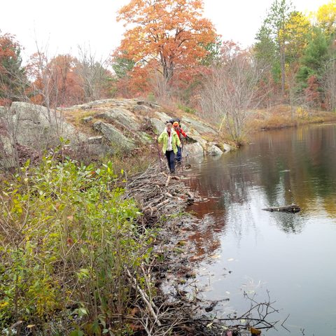 Photo from Queen Elizabeth II Wildlands Provincial Park Cork & Canoe