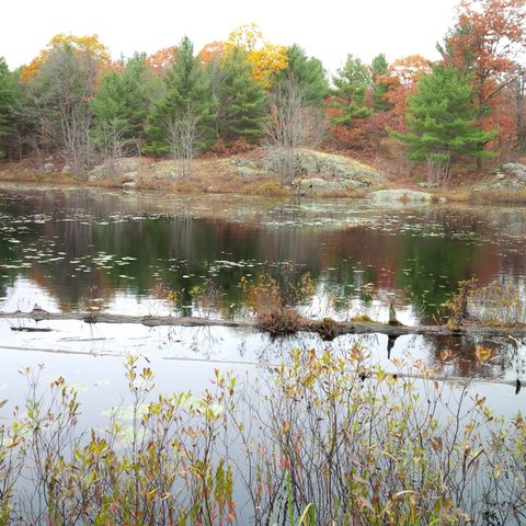 Photo from Queen Elizabeth II Wildlands Provincial Park Cork & Canoe