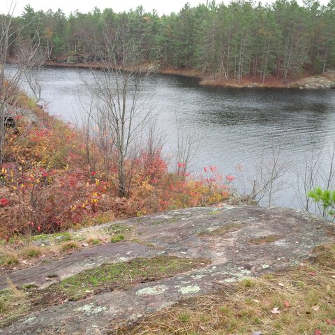 Photo from Queen Elizabeth II Wildlands Provincial Park Cork & Canoe