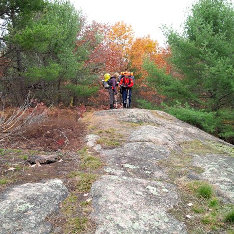Photo from Queen Elizabeth II Wildlands Provincial Park Cork & Canoe