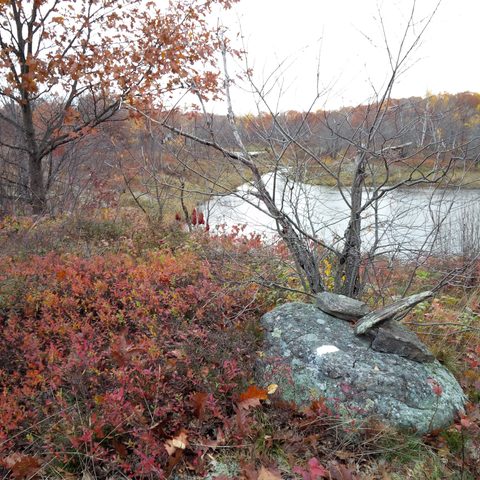 Photo from Queen Elizabeth II Wildlands Provincial Park Cork & Canoe