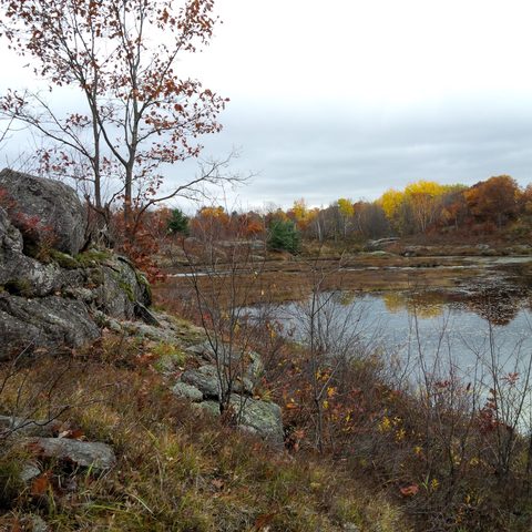 Photo from Queen Elizabeth II Wildlands Provincial Park Cork & Canoe