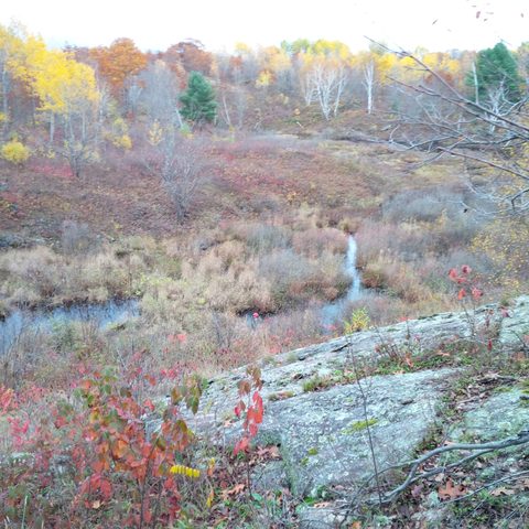Photo from Queen Elizabeth II Wildlands Provincial Park Cork & Canoe