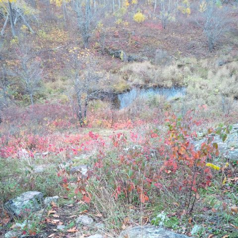 Photo from Queen Elizabeth II Wildlands Provincial Park Cork & Canoe