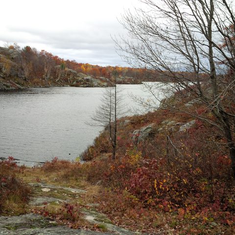 Photo from Queen Elizabeth II Wildlands Provincial Park Cork & Canoe