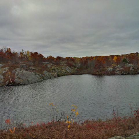Photo from Queen Elizabeth II Wildlands Provincial Park Cork & Canoe