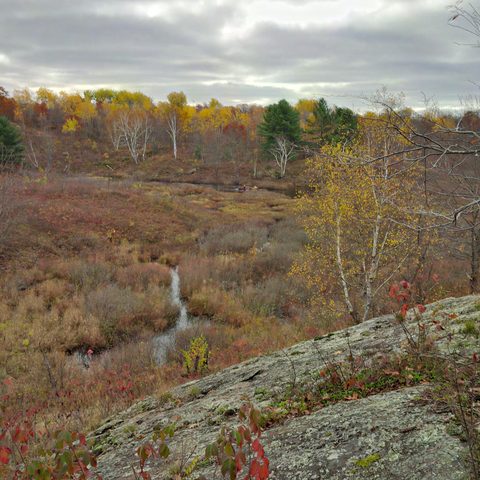 Photo from Queen Elizabeth II Wildlands Provincial Park Cork & Canoe