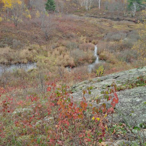 Photo from Queen Elizabeth II Wildlands Provincial Park Cork & Canoe