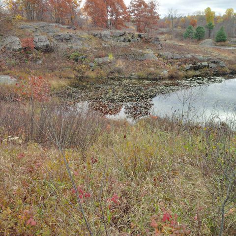 Photo from Queen Elizabeth II Wildlands Provincial Park Cork & Canoe