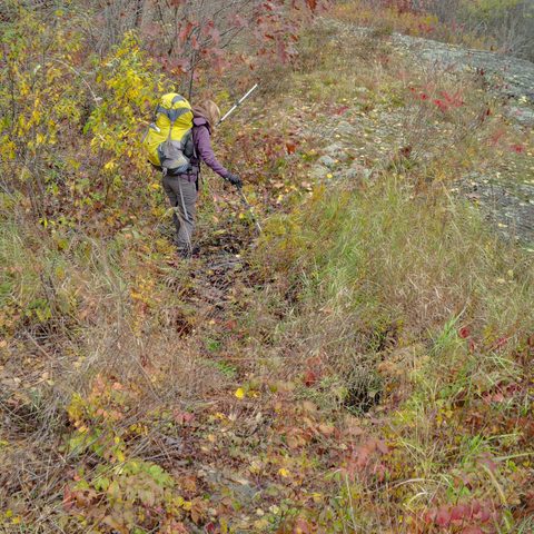 Photo from Queen Elizabeth II Wildlands Provincial Park Cork & Canoe