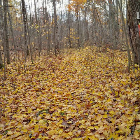 Photo from Queen Elizabeth II Wildlands Provincial Park Cork & Canoe