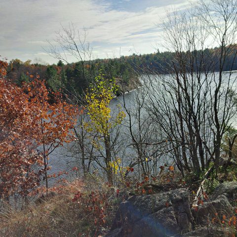 Photo from Queen Elizabeth II Wildlands Provincial Park Cork & Canoe