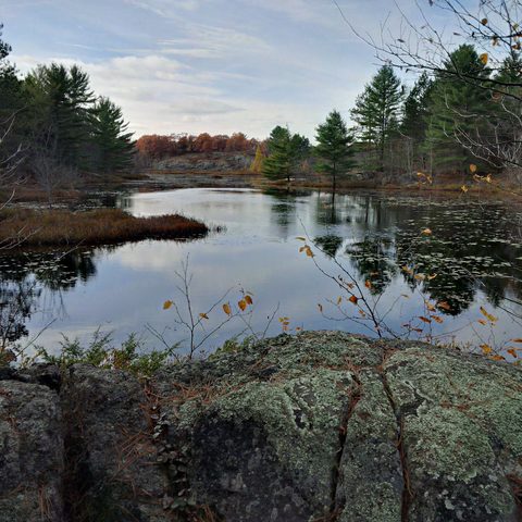 Photo from Queen Elizabeth II Wildlands Provincial Park Cork & Canoe