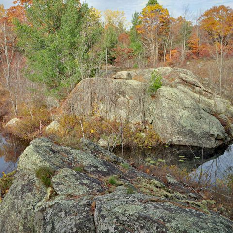 Photo from Queen Elizabeth II Wildlands Provincial Park Cork & Canoe