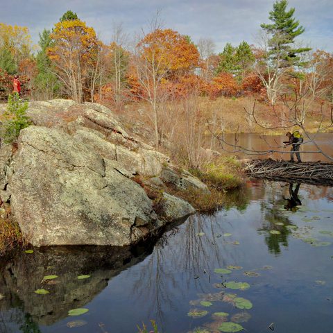 Photo from Queen Elizabeth II Wildlands Provincial Park Cork & Canoe
