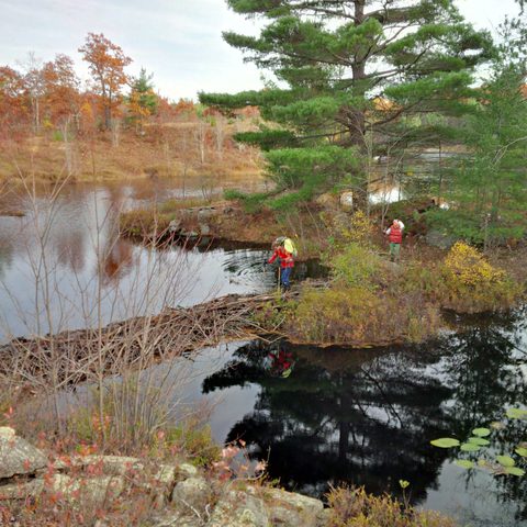 Photo from Queen Elizabeth II Wildlands Provincial Park Cork & Canoe