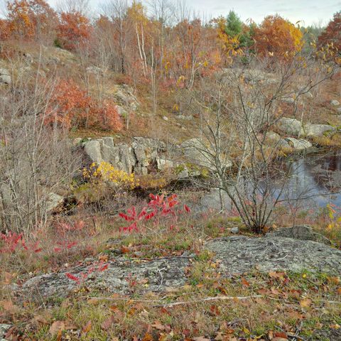 Photo from Queen Elizabeth II Wildlands Provincial Park Cork & Canoe