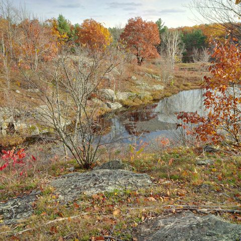 Photo from Queen Elizabeth II Wildlands Provincial Park Cork & Canoe