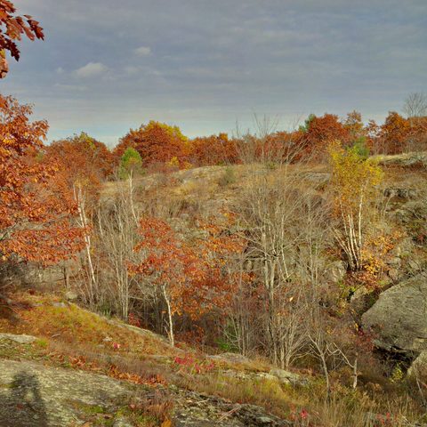 Photo from Queen Elizabeth II Wildlands Provincial Park Cork & Canoe