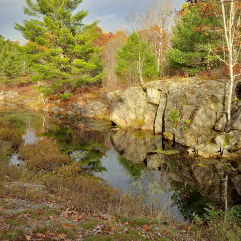 Photo from Queen Elizabeth II Wildlands Provincial Park Cork & Canoe