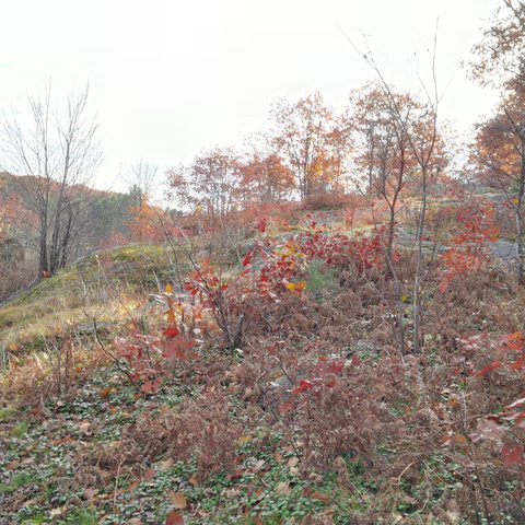 Photo from Queen Elizabeth II Wildlands Provincial Park Cork & Canoe