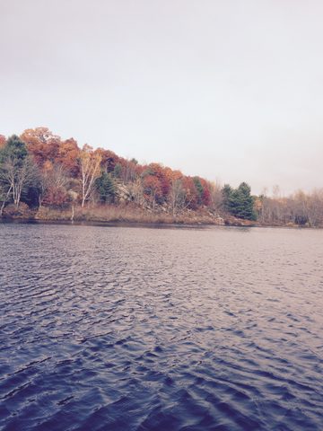 Photo from Queen Elizabeth II Wildlands Provincial Park Cork & Canoe