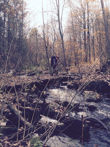Photo from Queen Elizabeth II Wildlands Provincial Park Cork & Canoe