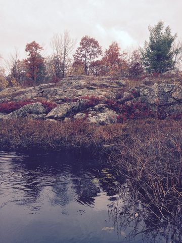 Photo from Queen Elizabeth II Wildlands Provincial Park Cork & Canoe