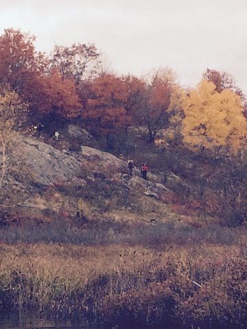 Photo from Queen Elizabeth II Wildlands Provincial Park Cork & Canoe