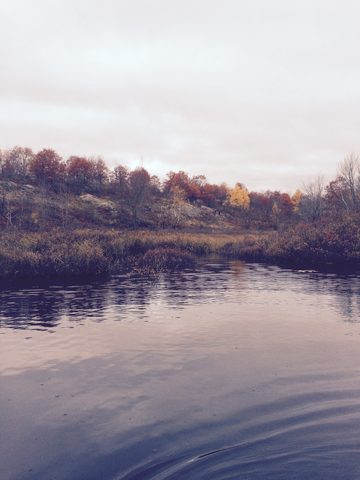 Photo from Queen Elizabeth II Wildlands Provincial Park Cork & Canoe
