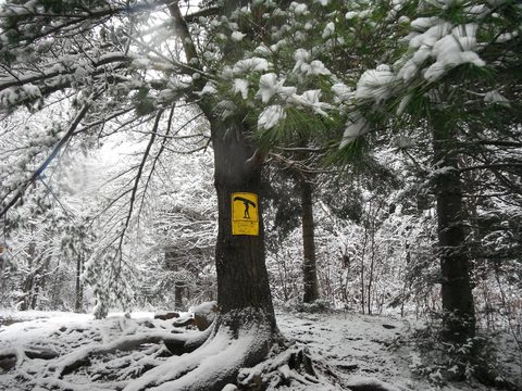 Photo from Canoeing  Joe Lake, Algonquin Park - The Silence and the Storm