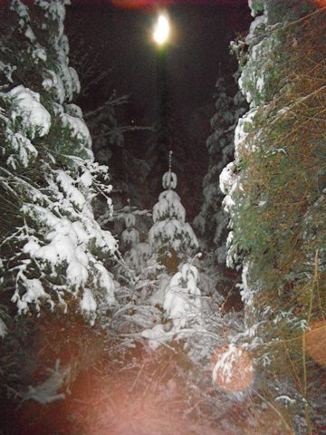 Photo from Canoeing  Joe Lake, Algonquin Park - The Silence and the Storm