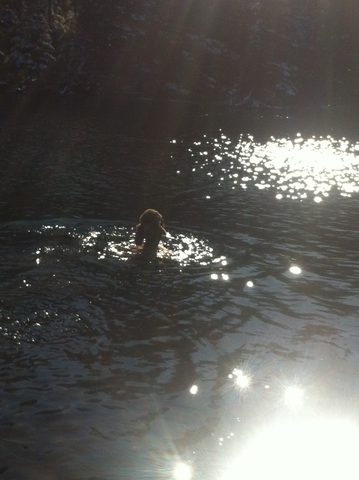 Photo from Canoeing  Joe Lake, Algonquin Park - The Silence and the Storm