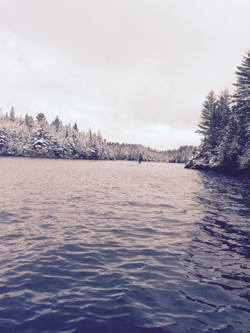 Photo from Canoeing  Joe Lake, Algonquin Park - The Silence and the Storm