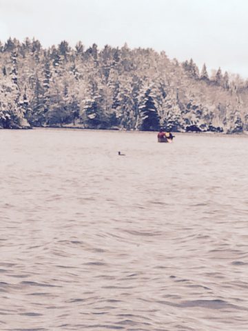 Photo from Canoeing  Joe Lake, Algonquin Park - The Silence and the Storm